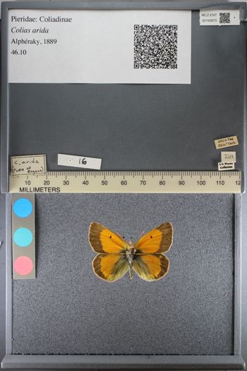 Media type: image;   Entomology 193875